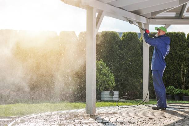 Best Dumpster Area Cleaning  in Louise, TX